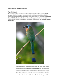 Print-Out Fact Sheet Examples: the Motmot