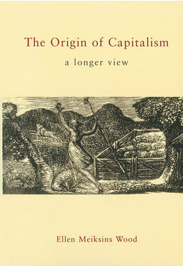 The Origin of Capitalism, a Longer View