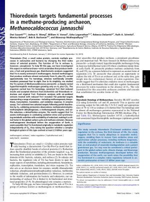 Thioredoxin Targets Fundamental Processes in a Methane-Producing Archaeon, Methanocaldococcus Jannaschii