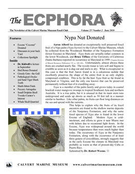 The ECPHORA the Newsletter of the Calvert Marine Museum Fossil Club Volume 25  Number 2 June 2010