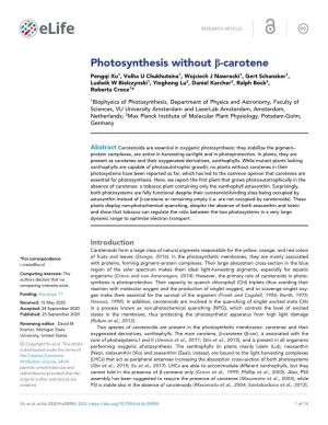 Photosynthesis Without B-Carotene