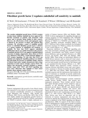 Fibroblast Growth Factor 2 Regulates Endothelial Cell Sensitivity to Sunitinib