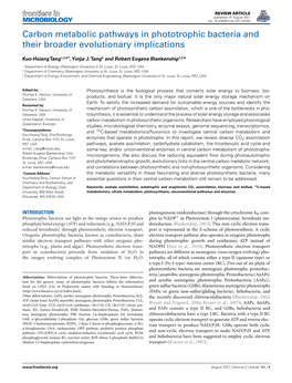 Carbon Metabolic Pathways in Phototrophic Bacteria and Their Broader Evolutionary Implications