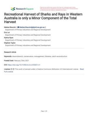 Recreational Harvest of Sharks and Rays in Western Australia Is Only a Minor Component of the Total Harvest