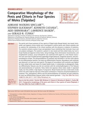 Comparative Morphology of the Penis and Clitoris in Four Species of Moles