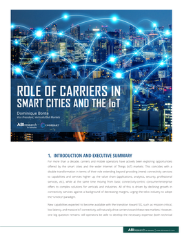 ROLE of CARRIERS in SMART CITIES and the Iot Dominique Bonte Vice President, Verticals/End Markets
