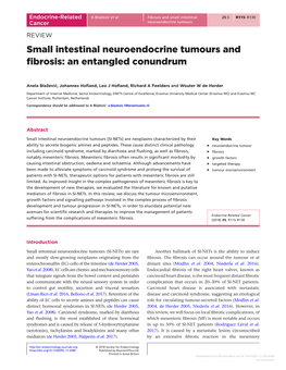 Small Intestinal Neuroendocrine Tumours and Fibrosis: an Entangled Conundrum