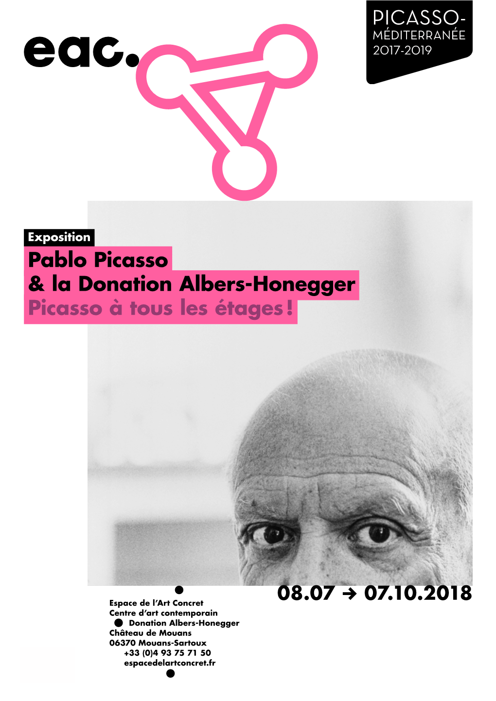 Pablo Picasso & La Donation Albers-Honegger