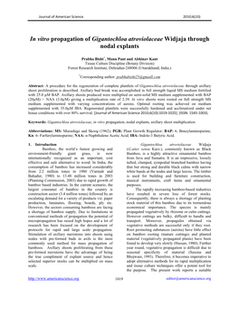 In Vitro Propagation of Gigantochloa Atroviolaceae Widjaja Through Nodal Explants