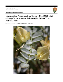 Astragalus Tricarinatus, Fabaceae) in Joshua Tree National Park