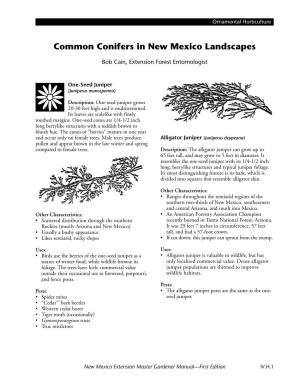 Common Conifers in New Mexico Landscapes