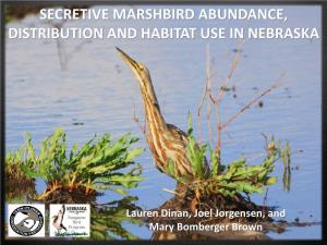 Secretive Marshbird Abundance, Distribution and Habitat Use in Nebraska