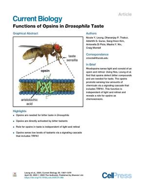 Functions of Opsins in Drosophila Taste