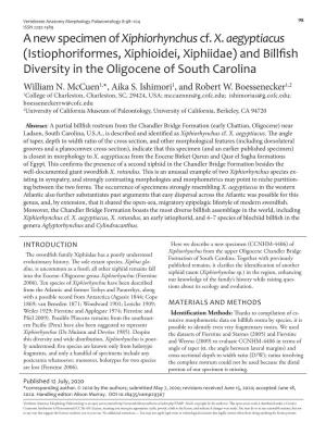 And Billfish Diversity in the Oligocene of South Carolina William N