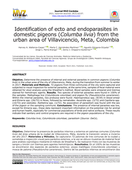 (Columba Livia) from the Urban Area of Villavicencio, Meta, Colombia