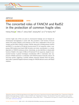 The Concerted Roles of FANCM and Rad52 in the Protection of Common Fragile Sites