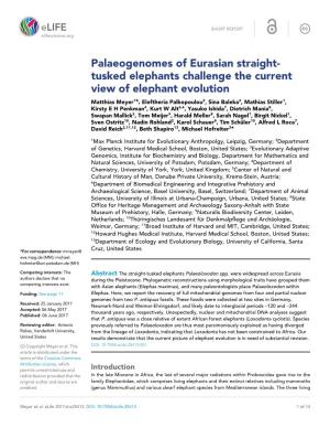 Palaeogenomes of Eurasian Straight- Tusked Elephants Challenge The