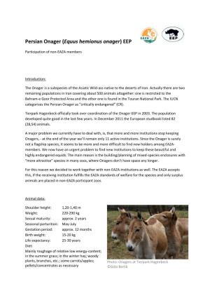 Persian Onager (Equus Hemionus Onager) EEP