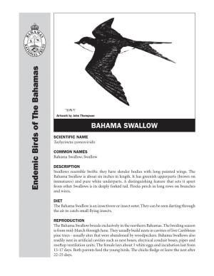 Bahama Swallow Isaboutsixinches Inlength