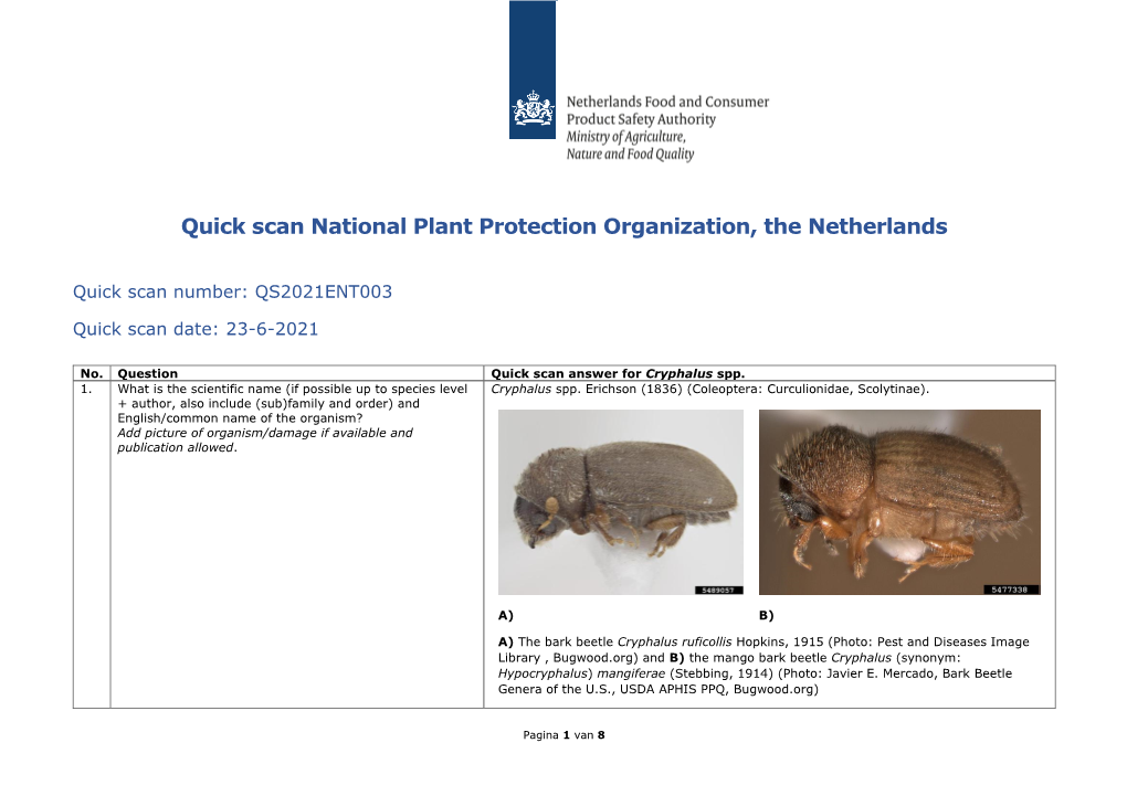 Quickscan Cryphalus Spp