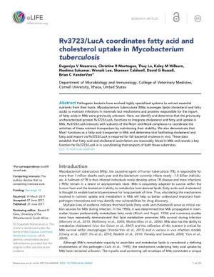 Rv3723/Luca Coordinates Fatty Acid and Cholesterol Uptake in Mycobacterium Tuberculosis