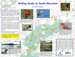 Birding Guide to South Mountain Northern Region