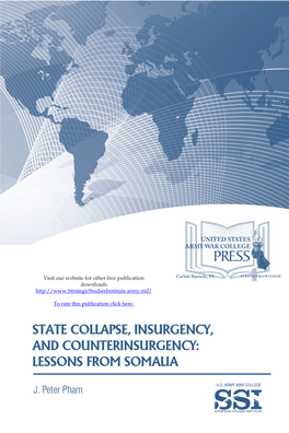 State Collapse, Insurgency and Counterinsurgency