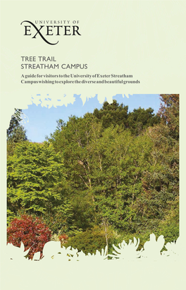Tree Trail Guide to Streatham Campus