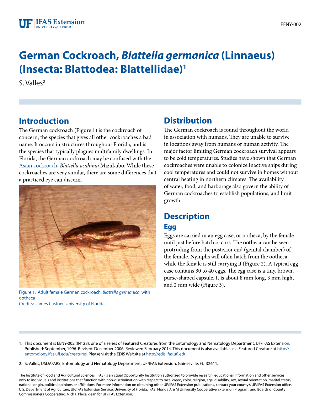 German Cockroach, Blattella Germanica (Linnaeus) (Insecta: Blattodea: Blattellidae)1 S