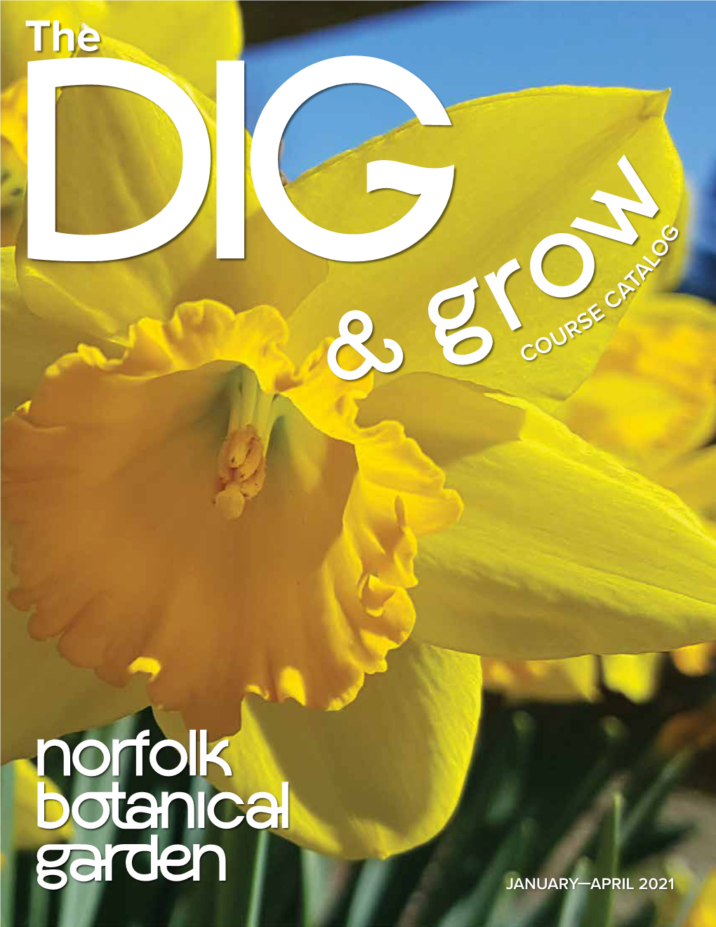 DIG Member Newsletter for Norfolk Botanical Garden, January Through