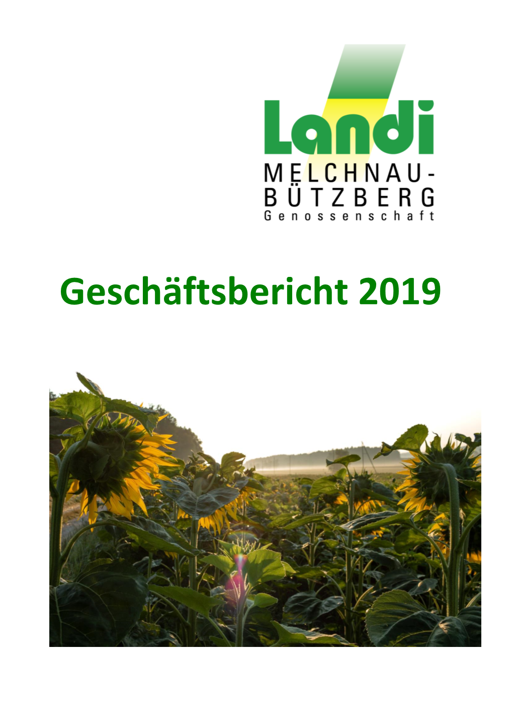 Geschäftsbericht 2019