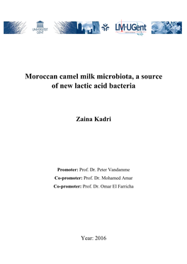Moroccan Camel Milk Microbiota, a Source of New Lactic Acid Bacteria