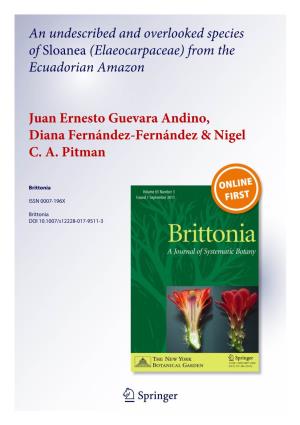 An Undescribed and Overlooked Species of Sloanea (Elaeocarpaceae) from the Ecuadorian Amazon