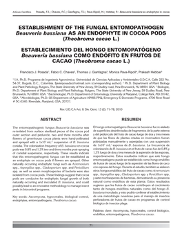 Beauveria Bassiana As Endophyte in Cocoa