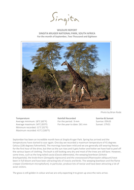 WILDLIFE REPORT SINGITA KRUGER NATIONAL PARK, SOUTH AFRICA for the Month of September, Two Thousand and Eighteen
