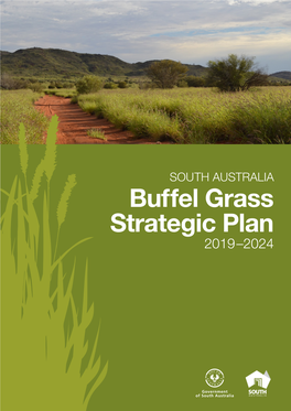 Buffel Grass Strategic Plan 2019–2024