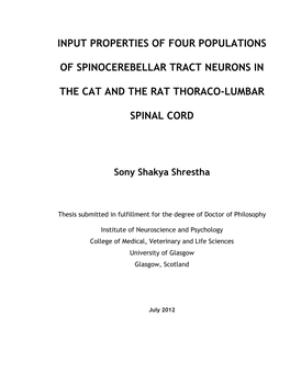 A First Step Towards Understanding the Role of the Cerebellum in the Control of Movements Is to Determine the Nature of the Information Forwarded to It