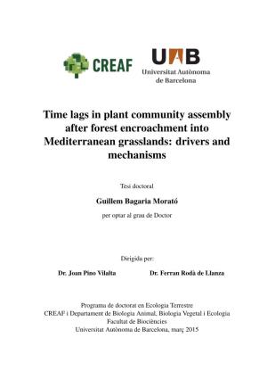 Time Lags in Plant Community Assembly After Forest Encroachment Into Mediterranean Grasslands: Drivers and Mechanisms