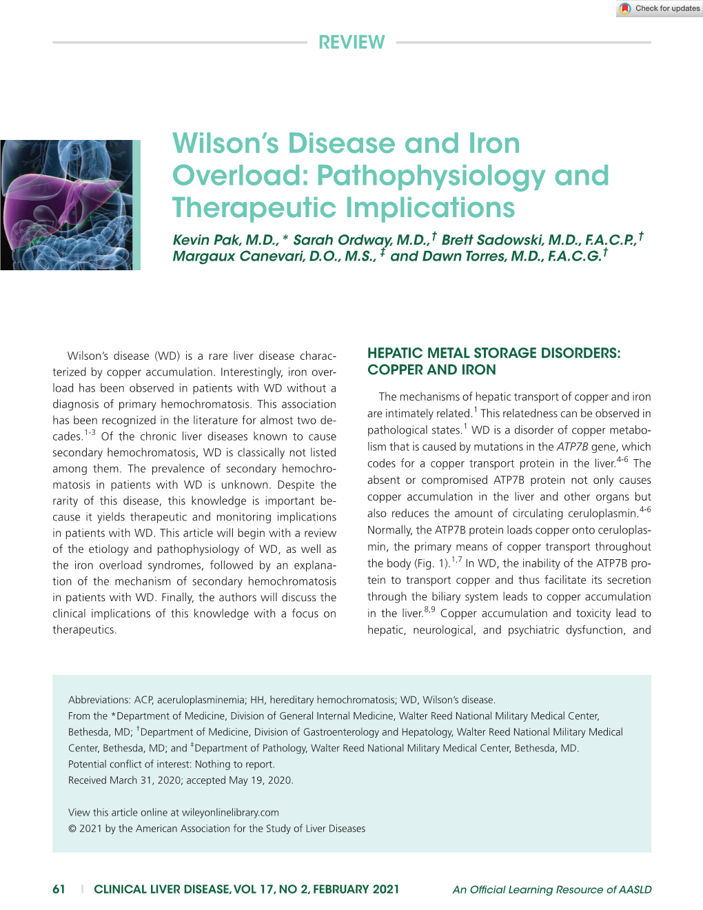 Wilson's Disease and Iron Overload: Pathophysiology and Therapeutic