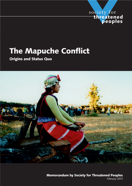 The Mapuche Conflict Origins and Status Quo