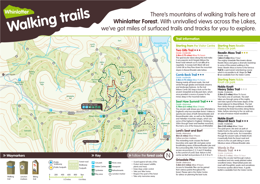 Whinlatter Forest