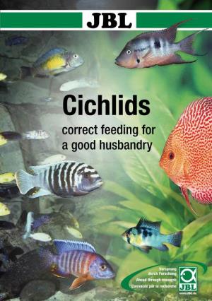 Cichlids Correct Feeding for a Good Husbandry