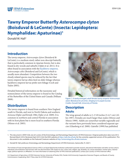 Tawny Emperor Butterfly Asterocampa Clyton (Boisduval & Leconte) (Insecta: Lepidoptera: Nymphalidae: Apaturinae)1