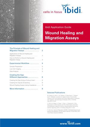 Application Guide "Wound Healing and Migration Assays"