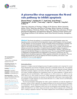 A Picorna-Like Virus Suppresses the N-End Rule Pathway to Inhibit Apoptosis