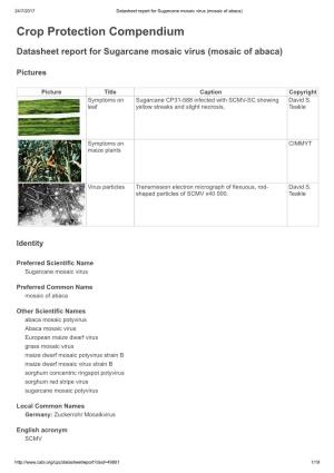 Datasheet Report for Sugarcane Mosaic Virus (Mosaic of Abaca)
