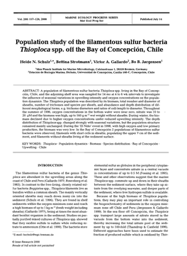 Population Study of the Filamentous Sulfur Bacteria Thioploca Spp. Off the Bay of Concepcion, Chile