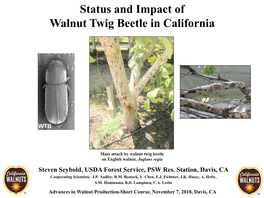 Status and Impact of Walnut Twig Beetle in California