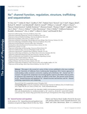 Na Channel Function, Regulation, Structure, Trafficking and Sequestration