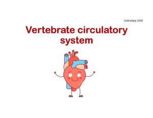 Vertebrate Circulatory System Circulatory System Subhadipa 2020